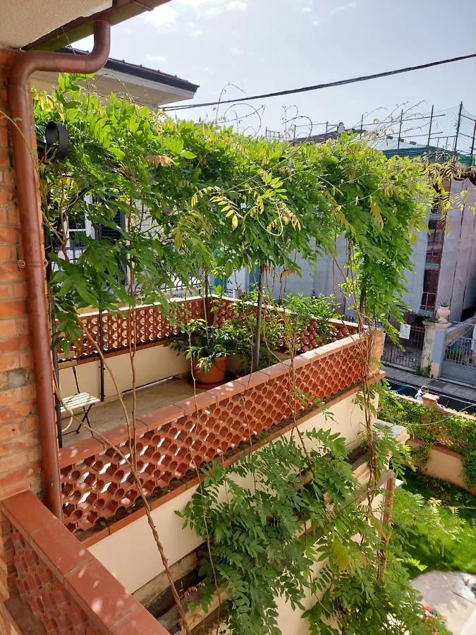 Bed and Breakfast Pura Vida Viareggio 0*,  Italia