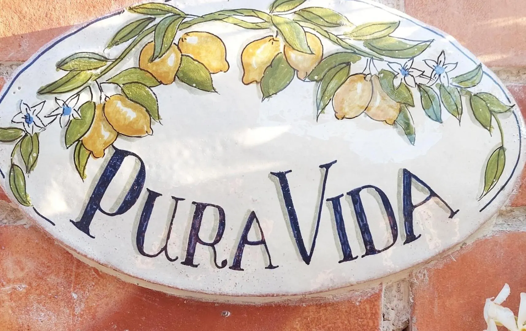 Pura Vida Bed & Breakfast Viareggio
